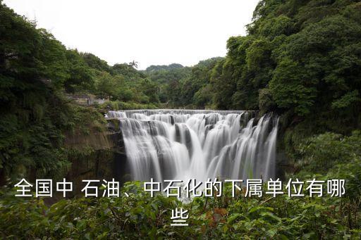 全國(guó)中 石油、中石化的下屬單位有哪些