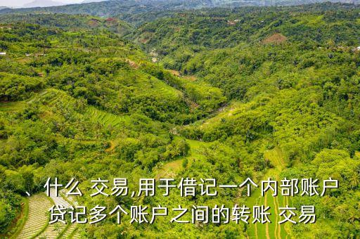 、什么 交易,用于借記一個(gè)內(nèi)部賬戶 貸記多個(gè)賬戶之間的轉(zhuǎn)賬 交易