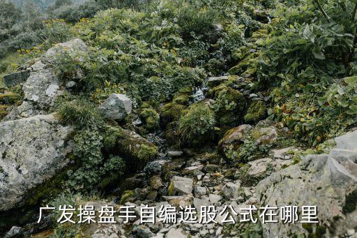 廣發(fā)操盤(pán)手自編選股公式在哪里