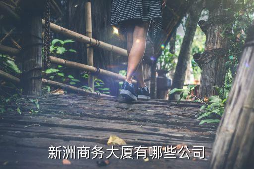 新洲商務大廈有哪些公司