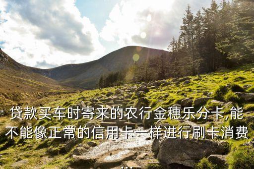 農(nóng)業(yè)銀行分期購(gòu)車卡