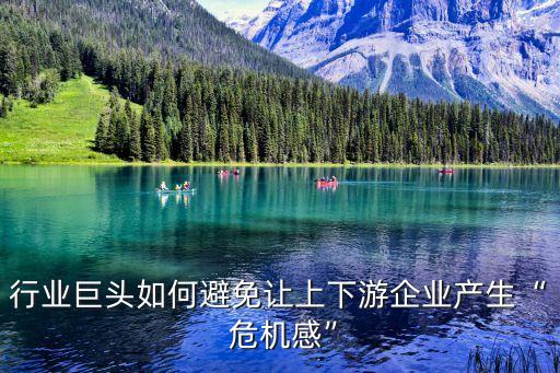 行業(yè)巨頭如何避免讓上下游企業(yè)產生“ 危機感”