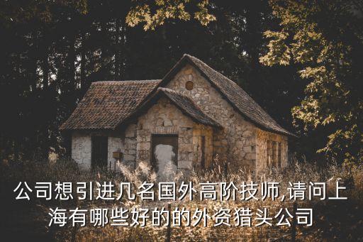 公司想引進(jìn)幾名國外高階技師,請(qǐng)問上海有哪些好的的外資獵頭公司