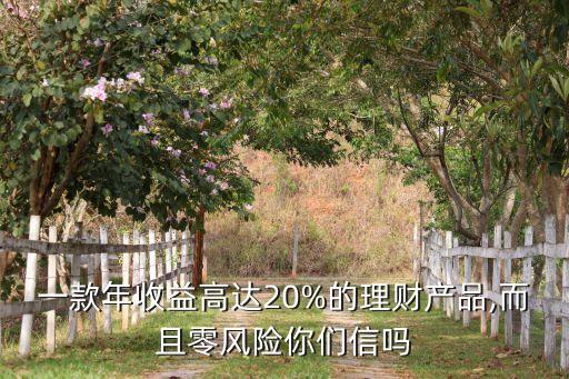 一款年收益高達(dá)20%的理財(cái)產(chǎn)品,而且零風(fēng)險你們信嗎