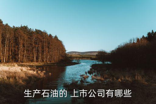 生產石油的 上市公司有哪些