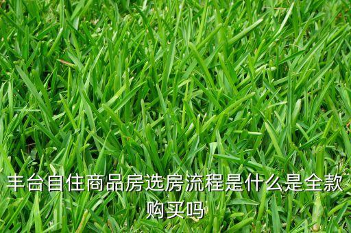 豐臺(tái)自住商品房選房流程是什么是全款購買嗎