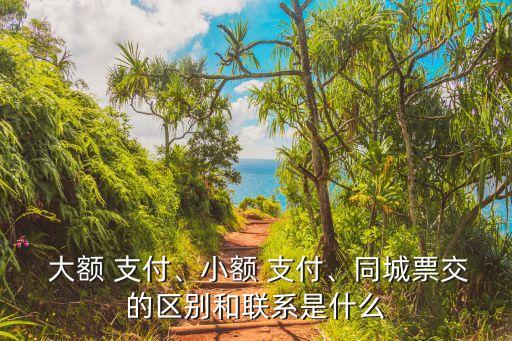  大額 支付、小額 支付、同城票交的區(qū)別和聯(lián)系是什么