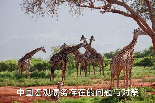 中國宏觀債務(wù)存在的問題與對(duì)策