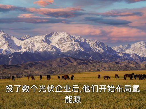 投了數(shù)個(gè)光伏企業(yè)后,他們開(kāi)始布局氫能源