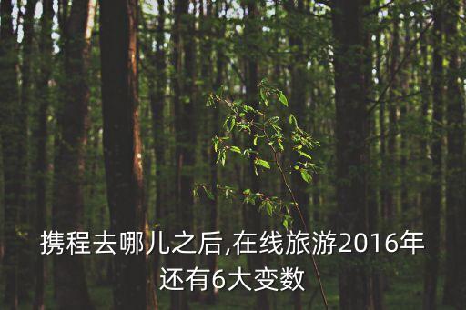2015中國(guó)出境游統(tǒng)計(jì)