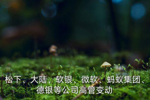 松下、大陸、軟銀、微軟、螞蟻集團(tuán)、德銀等公司高管變動(dòng)