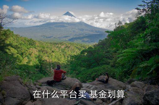 哪個(gè)網(wǎng)站買基金便宜,哪個(gè)平臺買基金手續(xù)費(fèi)最便宜