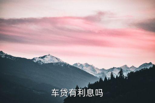 車(chē)貸有利息嗎