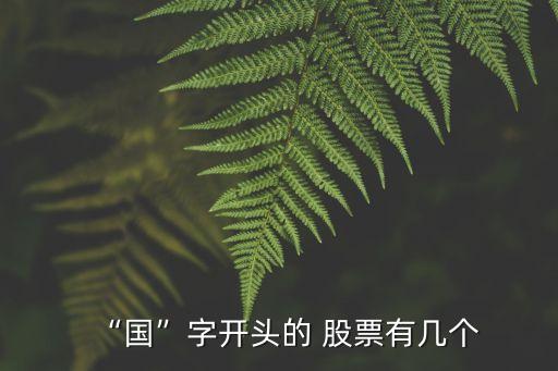 “國(guó)”字開頭的 股票有幾個(gè)