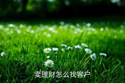 賣(mài)理財(cái)怎么找客戶(hù)