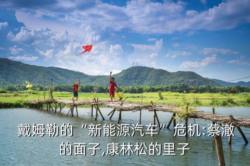  戴姆勒的“新能源汽車(chē)”危機(jī):蔡澈的面子,康林松的里子