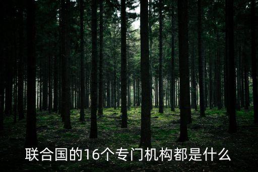 聯(lián)合國的16個(gè)專門機(jī)構(gòu)都是什么
