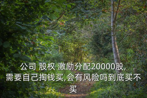 員工購(gòu)買(mǎi)公司股權(quán)激勵(lì)注意事項(xiàng)