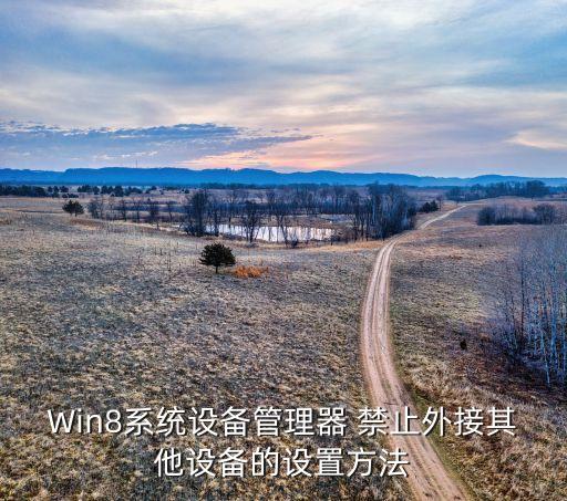 Win8系統(tǒng)設備管理器 禁止外接其他設備的設置方法
