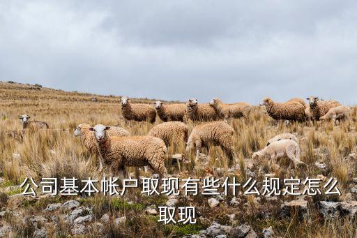  公司基本帳戶(hù)取現(xiàn)有些什么規(guī)定怎么取現(xiàn)