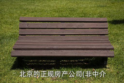 北京經(jīng)濟技術投資開發(fā)總公司
