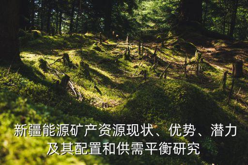  新疆能源礦產(chǎn)資源現(xiàn)狀、優(yōu)勢、潛力及其配置和供需平衡研究