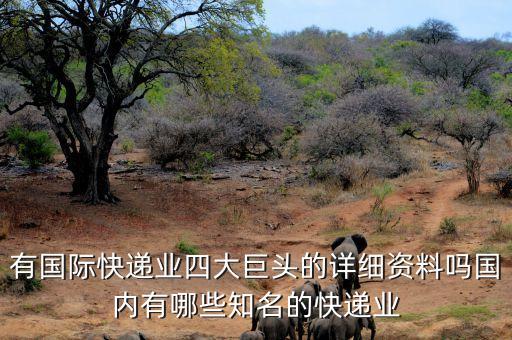 有國際快遞業(yè)四大巨頭的詳細資料嗎國內有哪些知名的快遞業(yè)