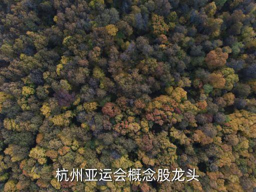 電子競技相關(guān)股票