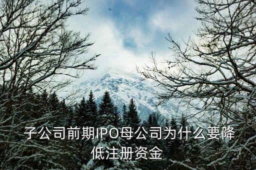  子公司前期IPO母公司為什么要降低注冊(cè)資金