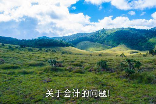 關(guān)于會(huì)計(jì)的問題!