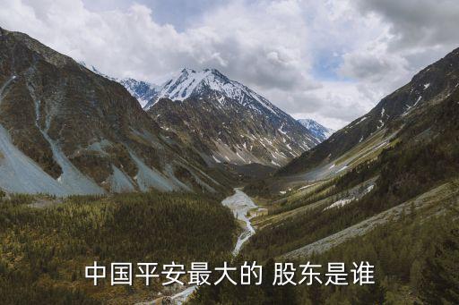 平安保險(xiǎn)集團(tuán)股東,中國(guó)平安保險(xiǎn)集團(tuán)股份有限公司股東