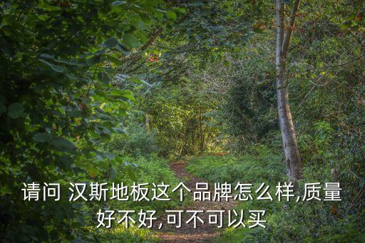 請(qǐng)問 漢斯地板這個(gè)品牌怎么樣,質(zhì)量好不好,可不可以買