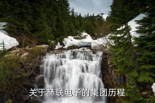 關于赫聯(lián)電子的集團歷程