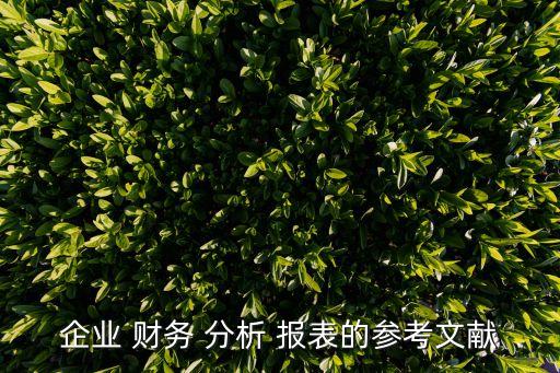 企業(yè) 財(cái)務(wù) 分析 報表的參考文獻(xiàn)