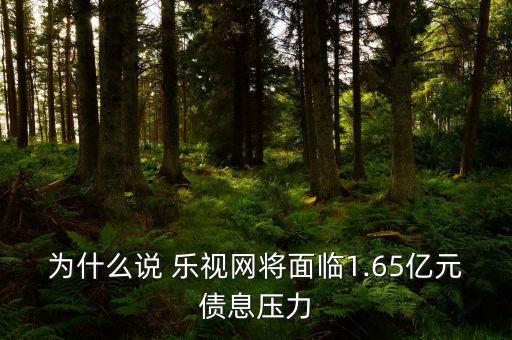 為什么說 樂視網將面臨1.65億元債息壓力