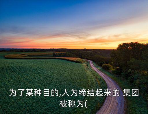 為了某種目的,人為締結(jié)起來(lái)的 集團(tuán)被稱為(