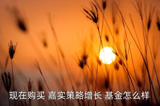 現在購買 嘉實策略增長 基金怎么樣