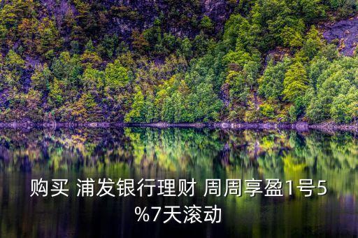 購買 浦發(fā)銀行理財(cái) 周周享盈1號5%7天滾動(dòng)