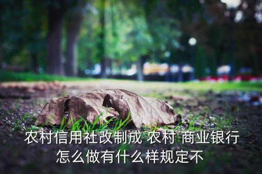  農村信用社改制成 農村 商業(yè)銀行怎么做有什么樣規(guī)定不