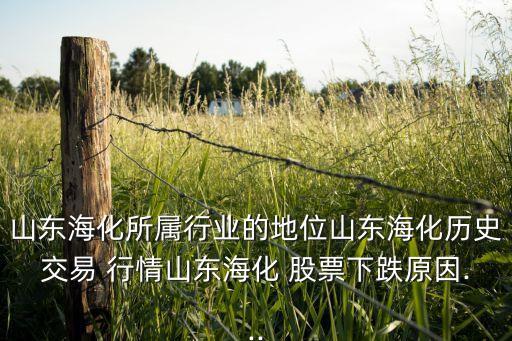 山東?；鶎傩袠I(yè)的地位山東海化歷史交易 行情山東?；?股票下跌原因...