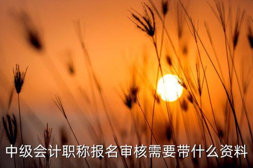 中級(jí)會(huì)計(jì)職稱(chēng)報(bào)名審核需要帶什么資料