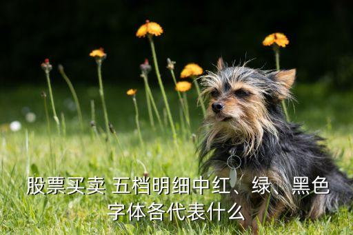  股票買賣 五檔明細(xì)中紅、綠、黑色字體各代表什么