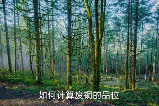 2014年中國(guó)銅產(chǎn)量,中國(guó)的銅產(chǎn)量有多少