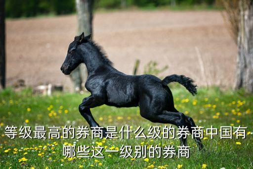 等級(jí)最高的券商是什么級(jí)的券商中國有哪些這一級(jí)別的券商