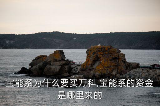 寶能系為什么要買(mǎi)萬(wàn)科,寶能系的資金是哪里來(lái)的