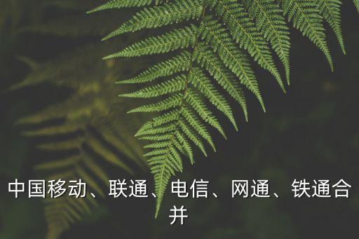 中國移動、聯(lián)通、電信、網(wǎng)通、鐵通合并