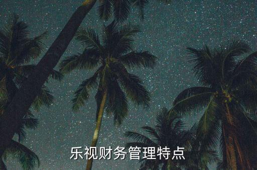 樂視財務管理特點