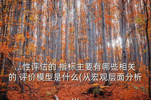 ...性評估的 指標(biāo)主要有哪些相關(guān)的 評價(jià)模型是什么(從宏觀層面分析...