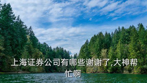 上海國際集團資產管理公司,中琞國際集團資產管理有限公司