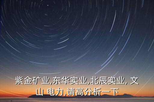 紫金礦業(yè),東華實(shí)業(yè),北辰實(shí)業(yè), 文山 電力,請(qǐng)高分析一下